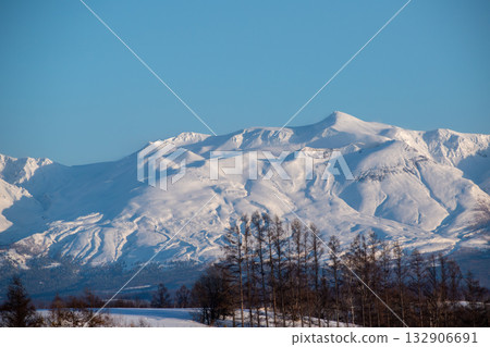 冬日陽光明媚的日子，十勝岳，雪山峰和落葉松林 132906691