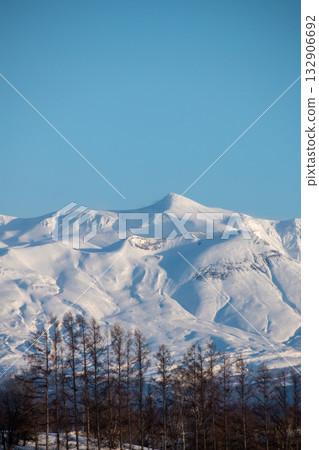 冬日陽光明媚的日子，十勝岳，雪山峰和落葉松林 132906692