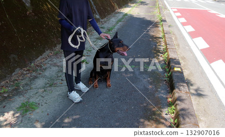 杜賓犬和主人步行訓練練習 132907016