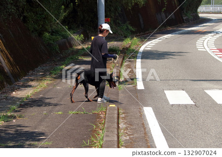 Doberman and owner walking training practice Doberman and owner walking training practice 132907024