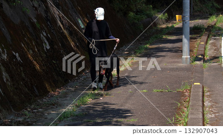 Doberman and owner walking training practice Doberman and owner walking training practice 132907043