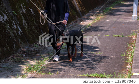 杜賓犬和主人步行訓練練習 132907046
