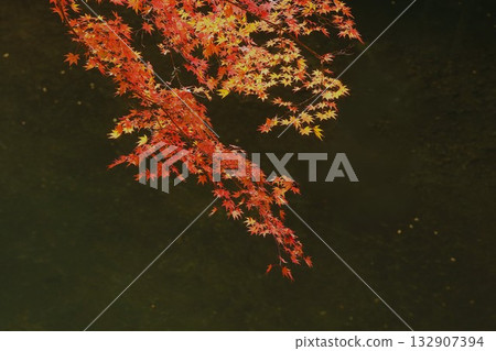 Okutsu Gorge - Autumn leaves at their best Okutsu Gorge - Autumn leaves at their best 132907394