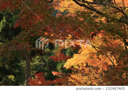 奧津峽-秋葉最美 奧津峽-秋葉最美 132907405