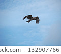 Flying in the sky 132907766
