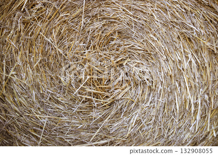 Roll of dry straw for livestock 132908055