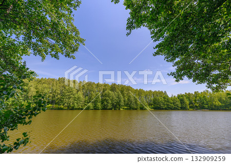 A Tranquil Lake Nestled Amidst Lush Greenery Under a Bright and Clear Blue Sky Above 132909259