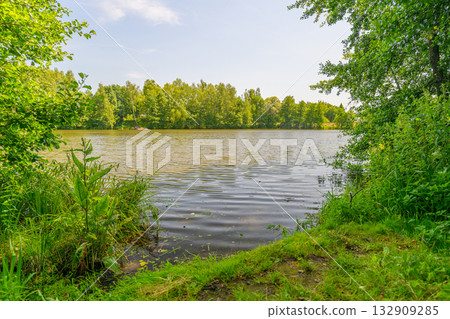 A beautifully tranquil lakeside landscape adorned with lush greenery and vibrant flora 132909285