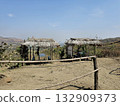 Countryside shelter A handmade straw-roof hut beside a dirt road, set against a scenic mountain backdrop and open horizon, ideal for nature or travel themes. 132909373