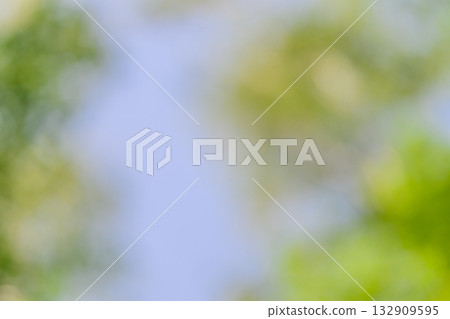 An Abstract Nature Background featuring Soft Focus and Blurry Greens for a serene vibe 132909595