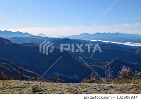 從美之原高原的小花眺望富士山 132909934