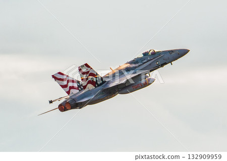 戰鬥機返回基地 戰鬥機返回基地 132909959