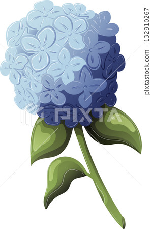 Detailed vector illustration of blue hydrangea blossom with fresh green leaves 132910267