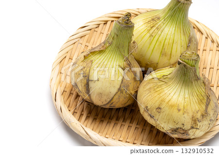 Close-up of new onions just after harvest 132910532