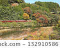 Watarase Valley Railway "Autumn foliage in the mountains and the Watarase Valley trolley train running along the Watarase River 132910586