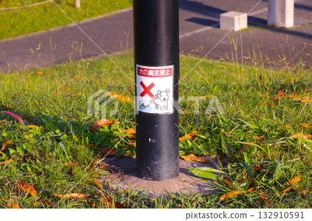 禁止狗糞和尿液的標誌 132910591