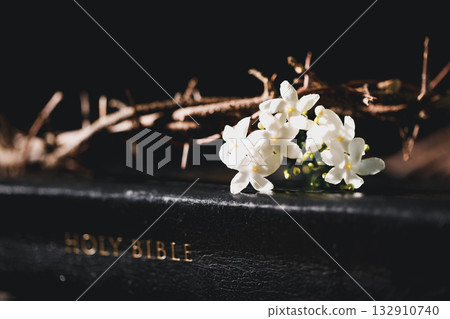 Closeup of Jesus Christ wearing crown of thorns during His crucifixion captures the suffering, sacrifice, and deep spirituality that define Easter and the core of Christian faith and religion. 132910740