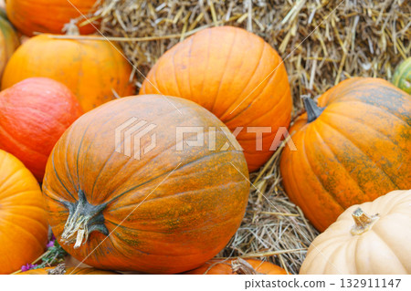Stack of colorful of orange pumpkins and gourds on dry straw background, autumn harvest season Stack of colorful of orange pumpkins and gourds on dry straw background, autumn harvest season 132911147