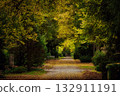A picturesque autumn scene at Melaten Cemetery in Cologne 132911191