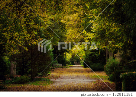 A picturesque autumn scene at Melaten Cemetery in Cologne A picturesque autumn scene at Melaten Cemetery in Cologne 132911191