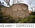 roman city wall with the lysolph tower 132911311