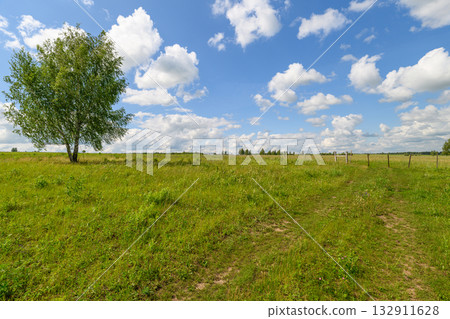 A Serene Landscape Featuring a Lush Green Field and a Beautiful Tree Under a Bright Blue Sky 132911628