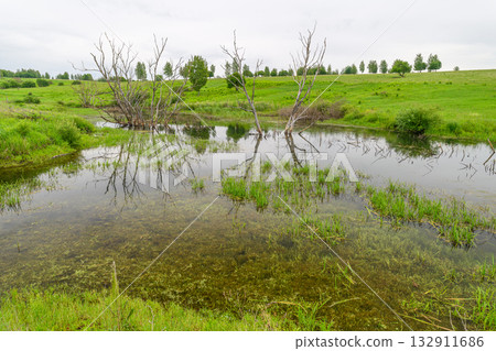 A Tranquil Wetland Landscape Featuring Beautiful Reflections and Lush Greenery All Around A Tranquil Wetland Landscape Featuring Beautiful Reflections and Lush Greenery All Around 132911686