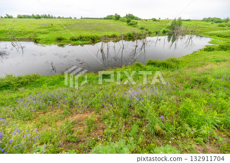 A Beautiful Lush Wetland Landscape Featuring a Peaceful and Serene Reflection in Water, A Beautiful Lush Wetland Landscape Featuring a Peaceful and Serene Reflection in Water, 132911704