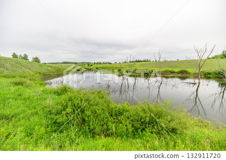 A Serene Wetland Landscape Displaying Lush Greenery Alongside Reflective Water Bodies A Serene Wetland Landscape Displaying Lush Greenery Alongside Reflective Water Bodies 132911720