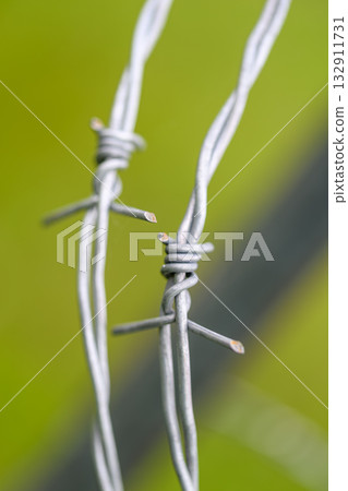 A CloseUp View of Twisted Barbed Wire Set Against a Lush Green Background in Nature 132911731