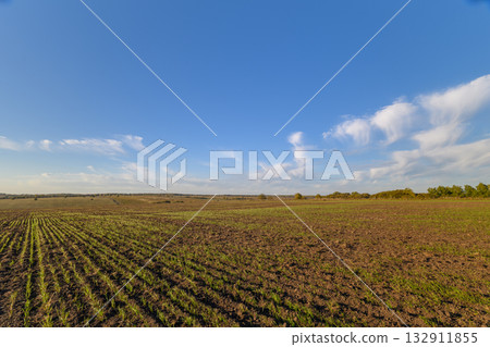 A Vast Agricultural Field Spanning Under a Beautiful Bright Blue Sky, Infinitely Expanding A Vast Agricultural Field Spanning Under a Beautiful Bright Blue Sky, Infinitely Expanding 132911855