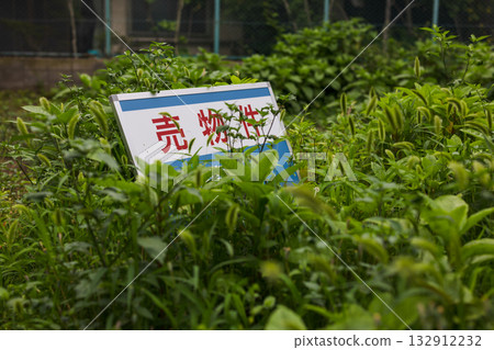 住宅區一塊空地上的出售標誌 住宅區一塊空地上的出售標誌 132912232