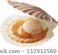 Realistic scallop illustration 132912560