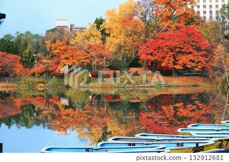 A boat floating on the surface of the autumn leaves A boat floating on the surface of the autumn leaves 132912681