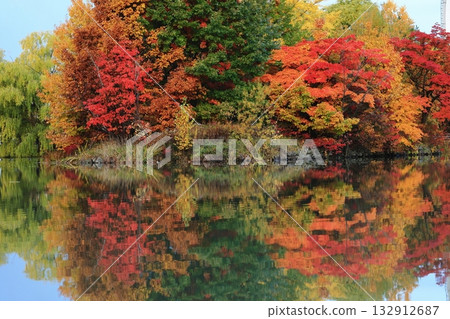 Autumn leaves reflected on the water Autumn leaves reflected on the water 132912687
