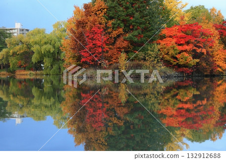 Autumn leaves reflected on the water 132912688