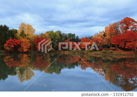 Autumn leaves reflected on the water 132912702