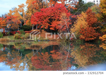 Autumn leaves reflected in a pond Autumn leaves reflected in a pond 132912704