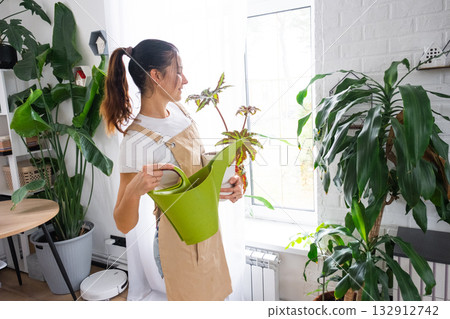 A woman waters home plants from her collection of rare species from a watering can, grown with love on shelves in the interior of the house. Home plant growing, green house, water balance A woman waters home plants from her collection of rare species from a watering can, grown with love on shelves in the interior of the house. Home plant growing, green house, water balance 132912742
