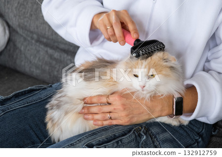 A woman takes care of a domestic cat, combs its fur with a comb A woman takes care of a domestic cat, combs its fur with a comb 132912759
