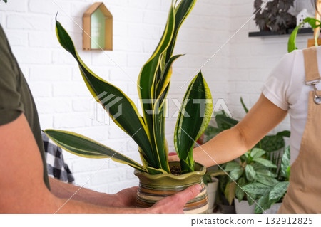 A husband gives his wife a potted plant for a hobby A husband gives his wife a potted plant for a hobby 132912825