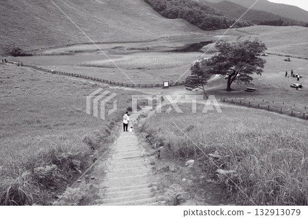 奈良縣索尼高原的景色 132913079