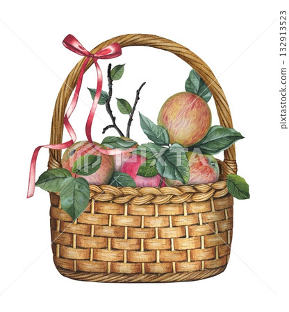 Hand drawn basket with red ribbon of ripe apples and leaves. Watercolor illustration of the harvest. 132913523