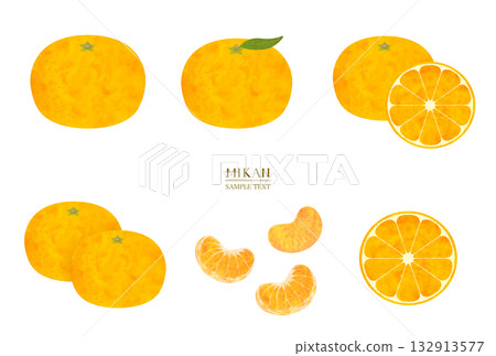 水彩風格的橘子插畫素材套裝 132913577