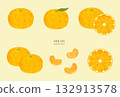 Mandarin orange illustration material set (watercolor vector) 132913578
