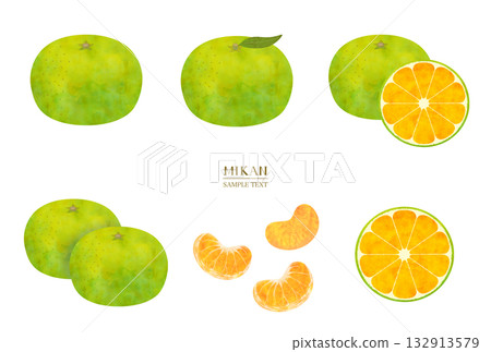 水彩風格早熟柑橘插畫素材套裝 水彩風格早熟柑橘插畫素材套裝 132913579