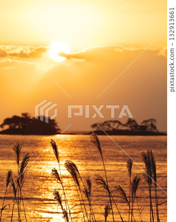View of Toyama Bay and Abugashima Island through the Japanese pampas grass, bathed in the late autumn morning glow View of Toyama Bay and Abugashima Island through the Japanese pampas grass, bathed in the late autumn morning glow 132913661