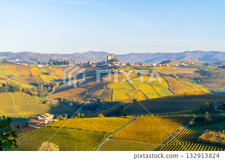 Vineyards in Piedmont Italy during autumn harvest season with Serralunga d'Alba on background Vineyards in Piedmont Italy during autumn harvest season with Serralunga d'Alba on background 132913824