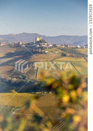 Vineyard landscape in Piedmont Italy with a castle and village in the background. 132913826
