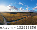 Vineyards in Burgundy, France, bathed in golden autumn sunlight 132913856